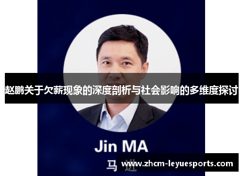 赵鹏关于欠薪现象的深度剖析与社会影响的多维度探讨