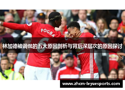 林加德被调侃的五大原因剖析与背后深层次的原因探讨