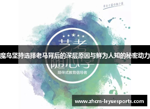 魔鸟坚持选择老马背后的深层原因与鲜为人知的秘密动力